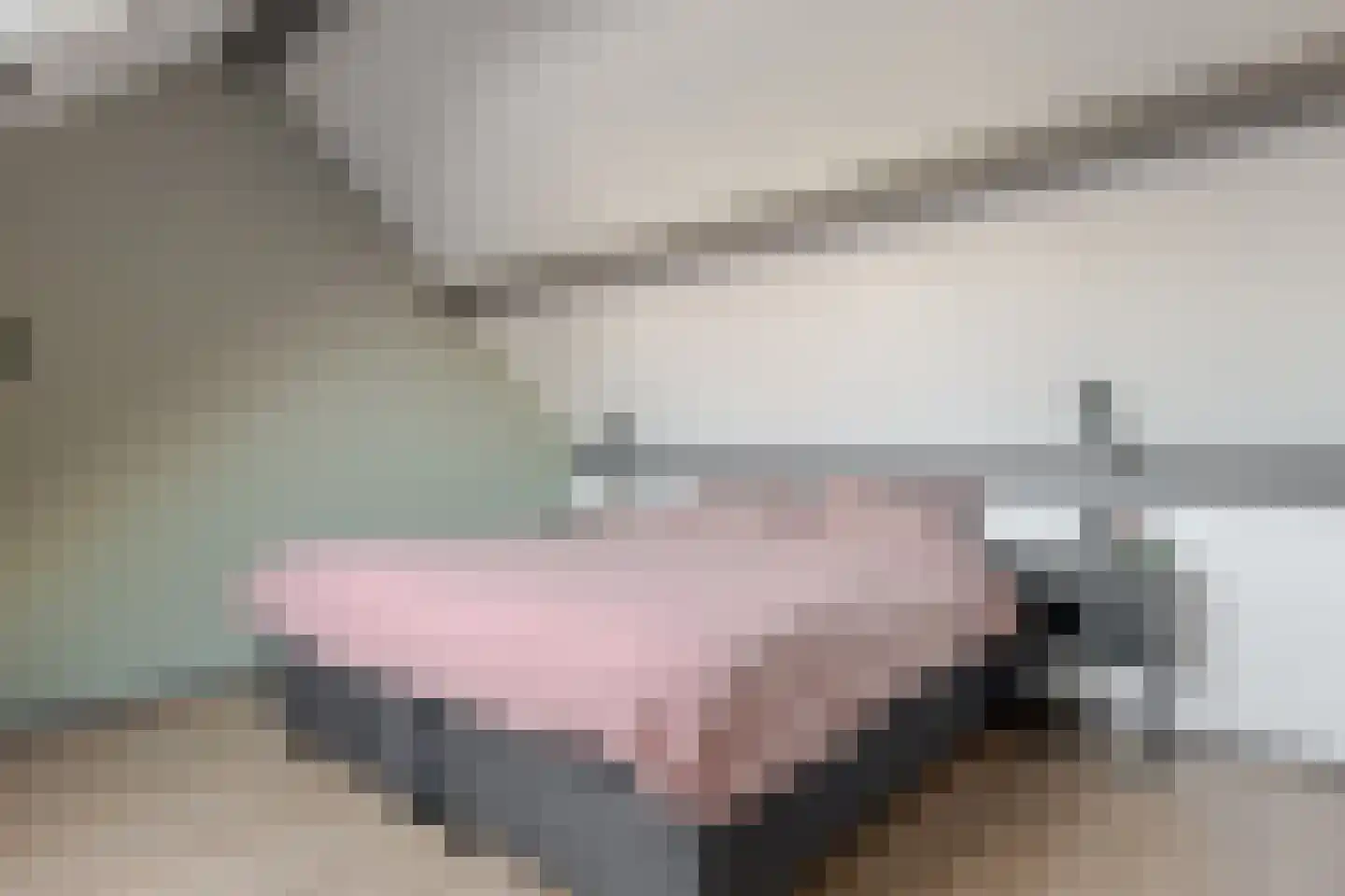 Veldakkers 62 Borger thumbnail 52