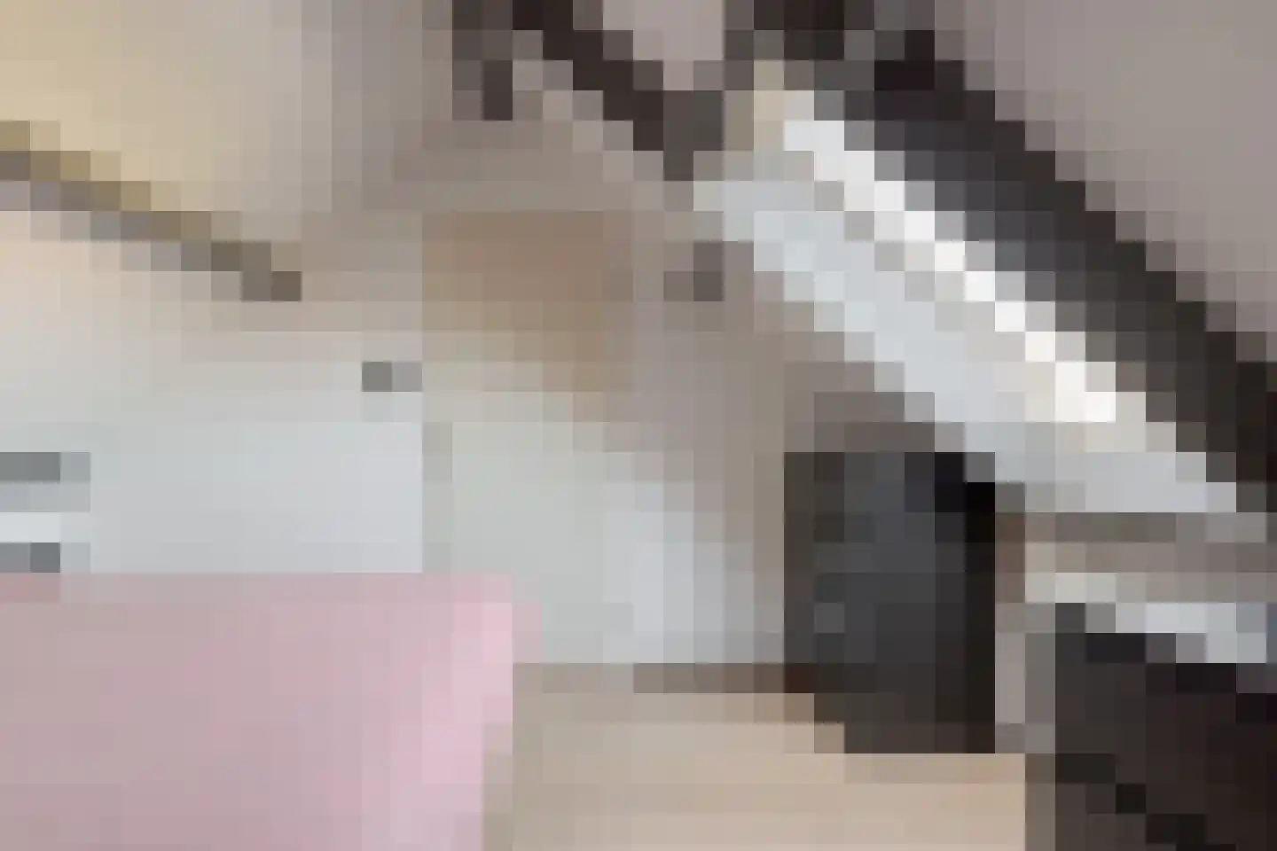 Veldakkers 62 Borger thumbnail 54