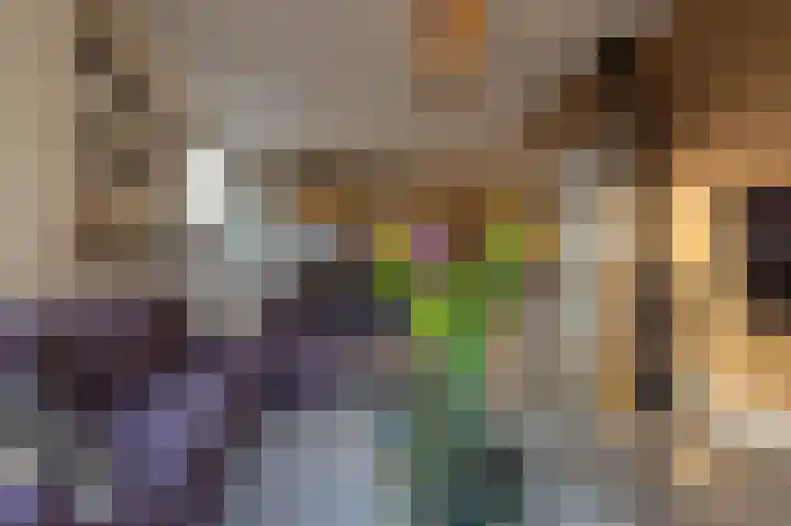 Veldakkerslaan 5 Zuidlaren thumbnail 15