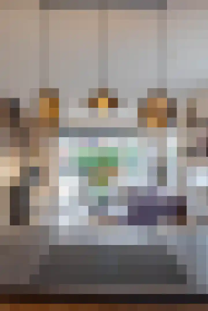 Veldakkerslaan 5 Zuidlaren thumbnail 20