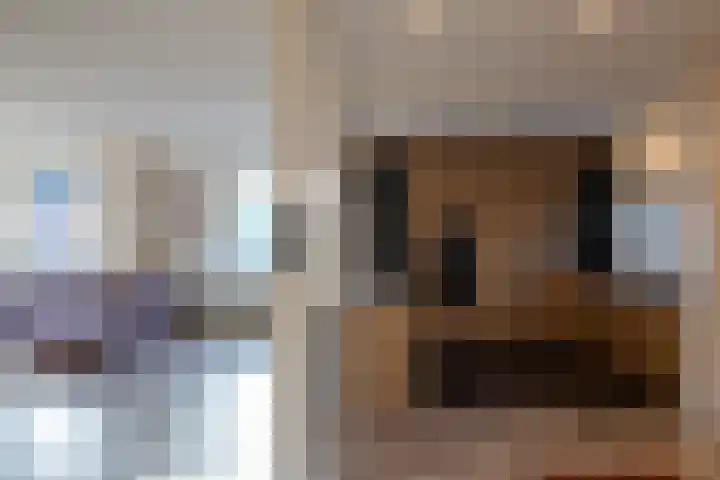Veldakkerslaan 5 Zuidlaren thumbnail 23