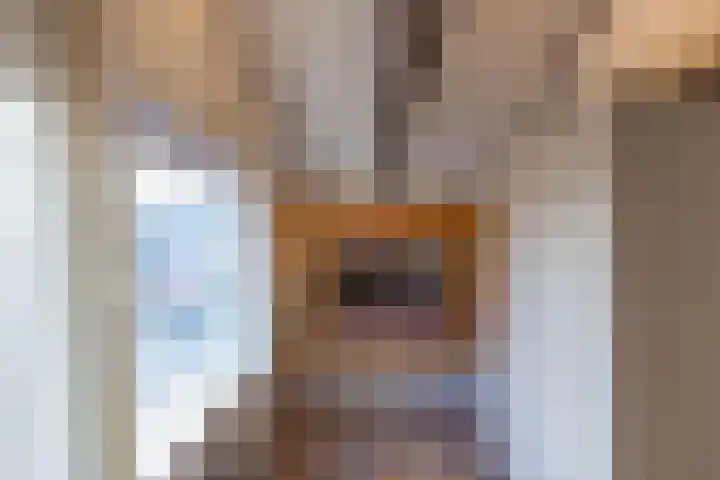 Veldakkerslaan 5 Zuidlaren thumbnail 34