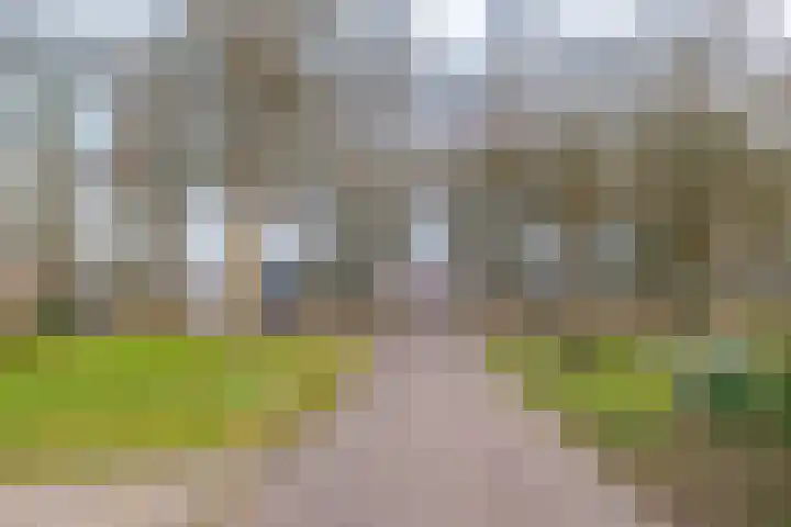 Veldakkerslaan 5 Zuidlaren thumbnail 4