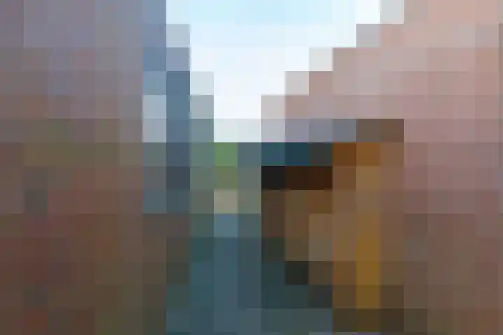 Veldakkerslaan 5 Zuidlaren thumbnail 53