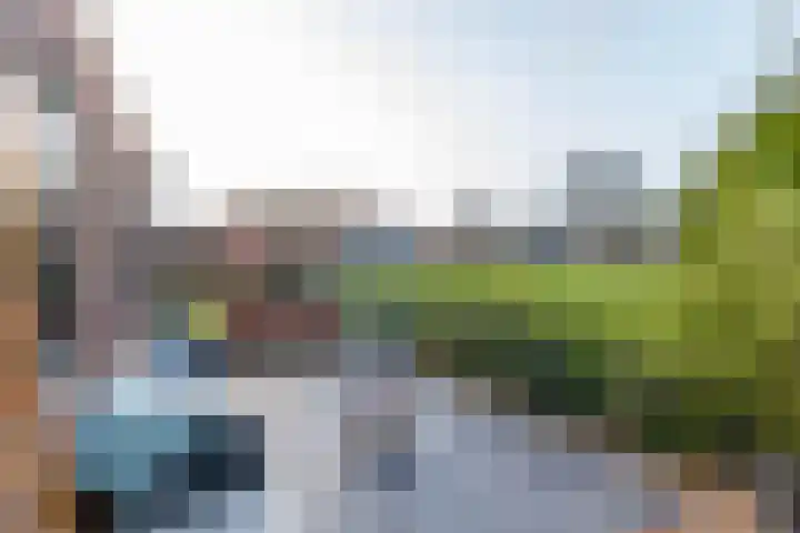 Veldakkerslaan 5 Zuidlaren thumbnail 55