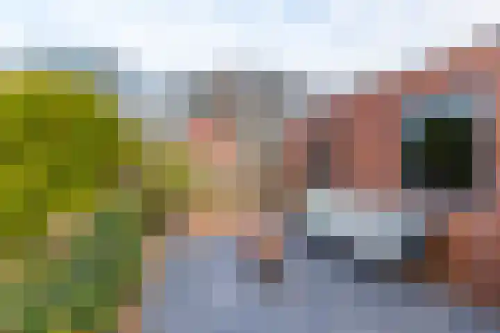 Veldakkerslaan 5 Zuidlaren thumbnail 56