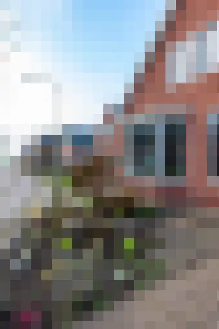 Veldakkerslaan 5 Zuidlaren thumbnail 59