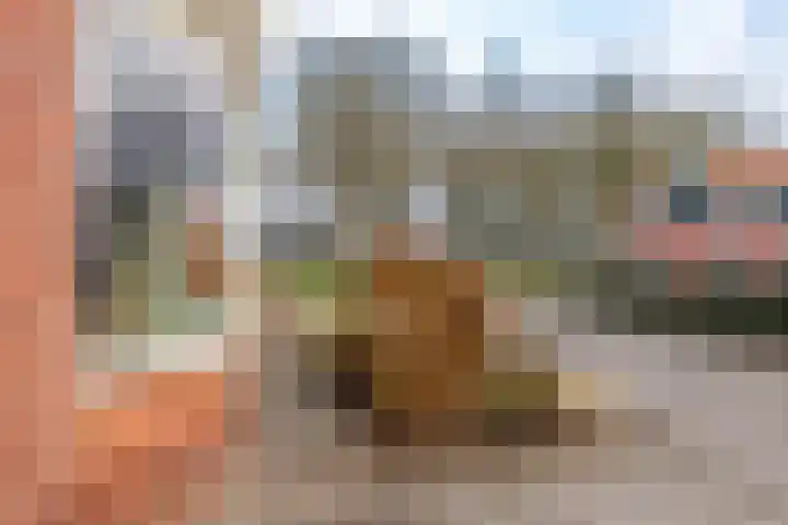 Veldakkerslaan 5 Zuidlaren thumbnail 60