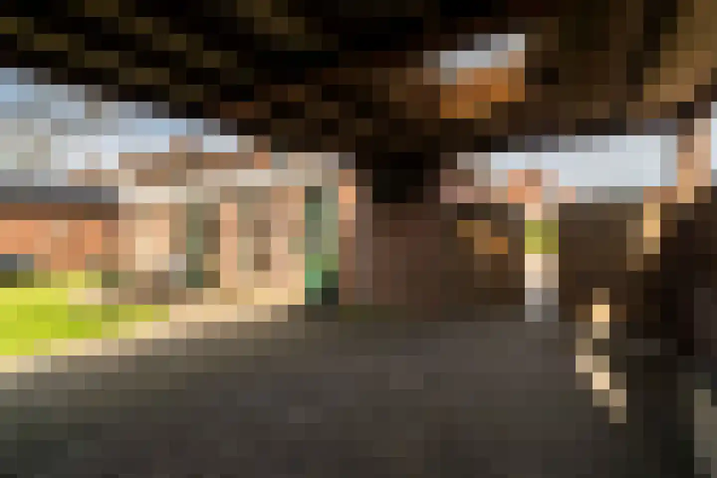 Veldakkerstraat 10 Boxtel thumbnail 41