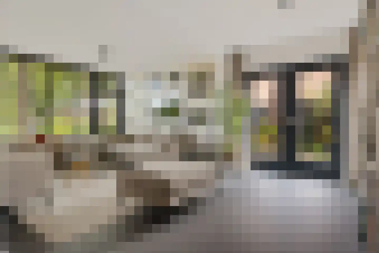 Veldakkersweg 12 Exloo thumbnail 11