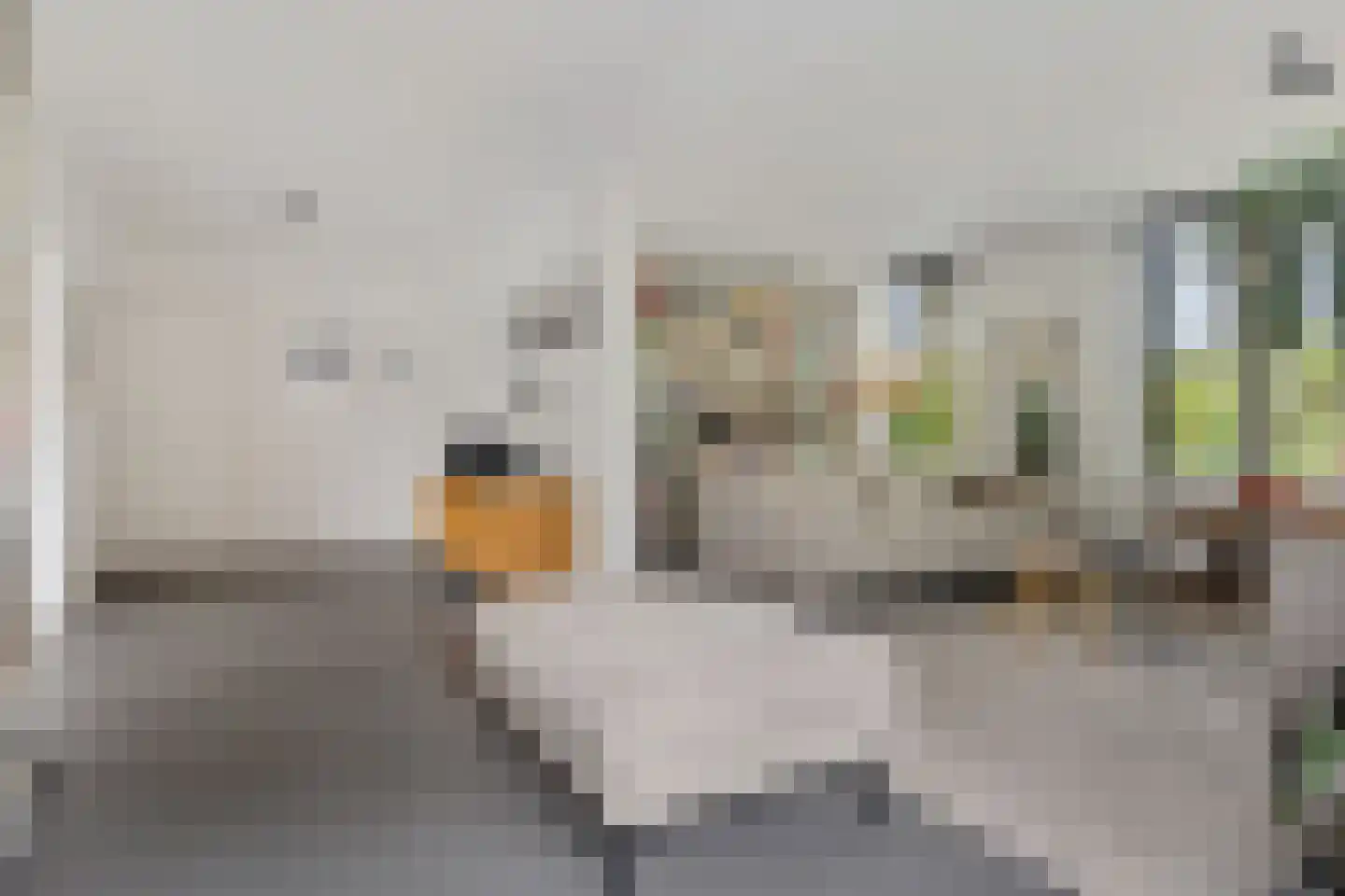 Veldakkersweg 12 Exloo thumbnail 14