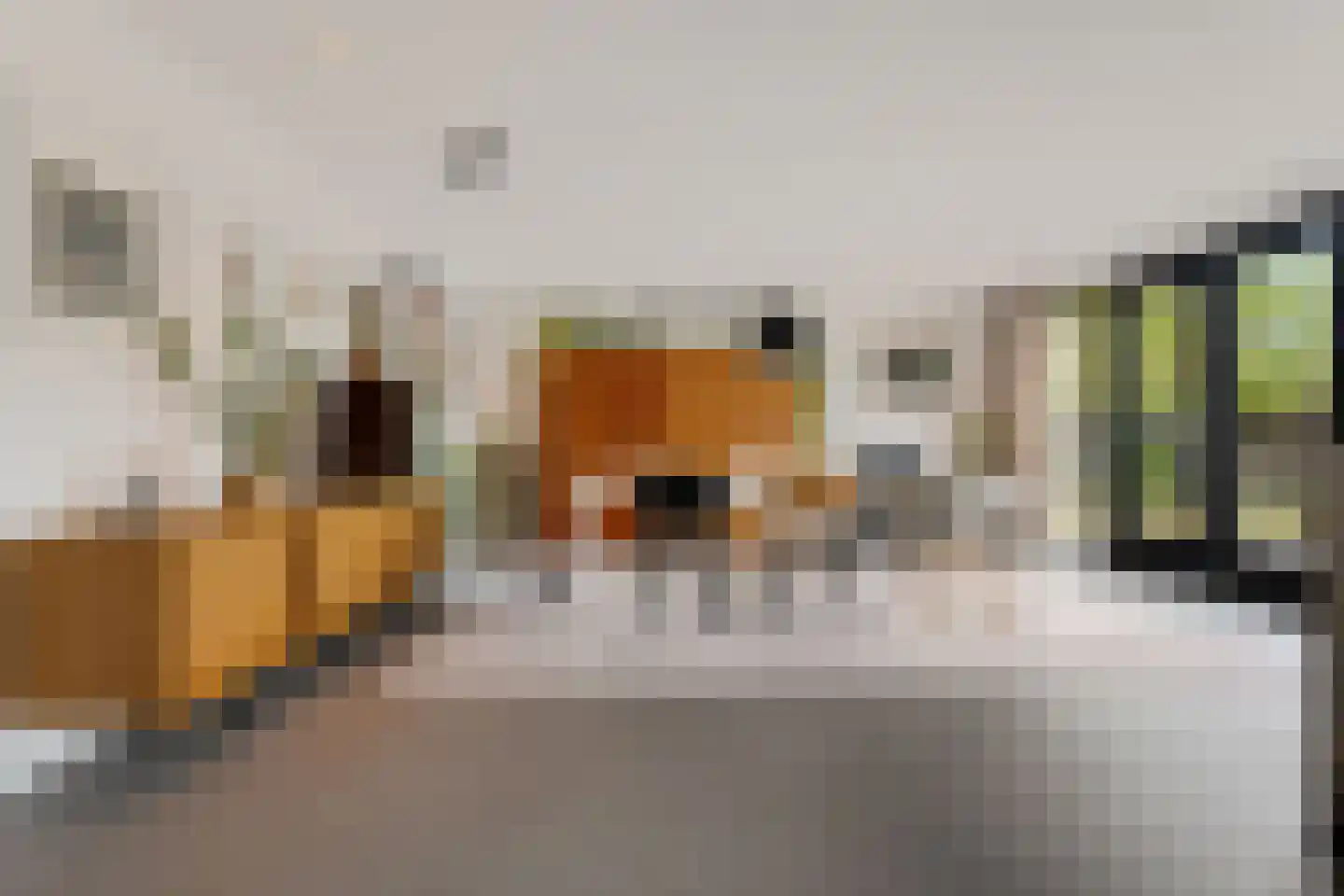 Veldakkersweg 12 Exloo thumbnail 18