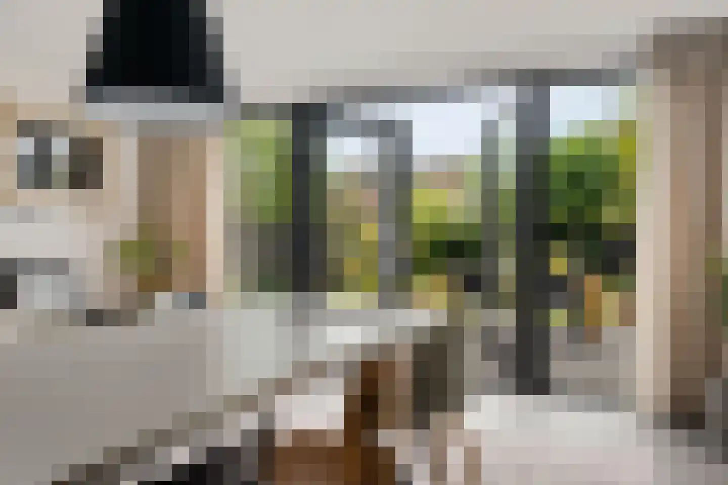 Veldakkersweg 12 Exloo thumbnail 19