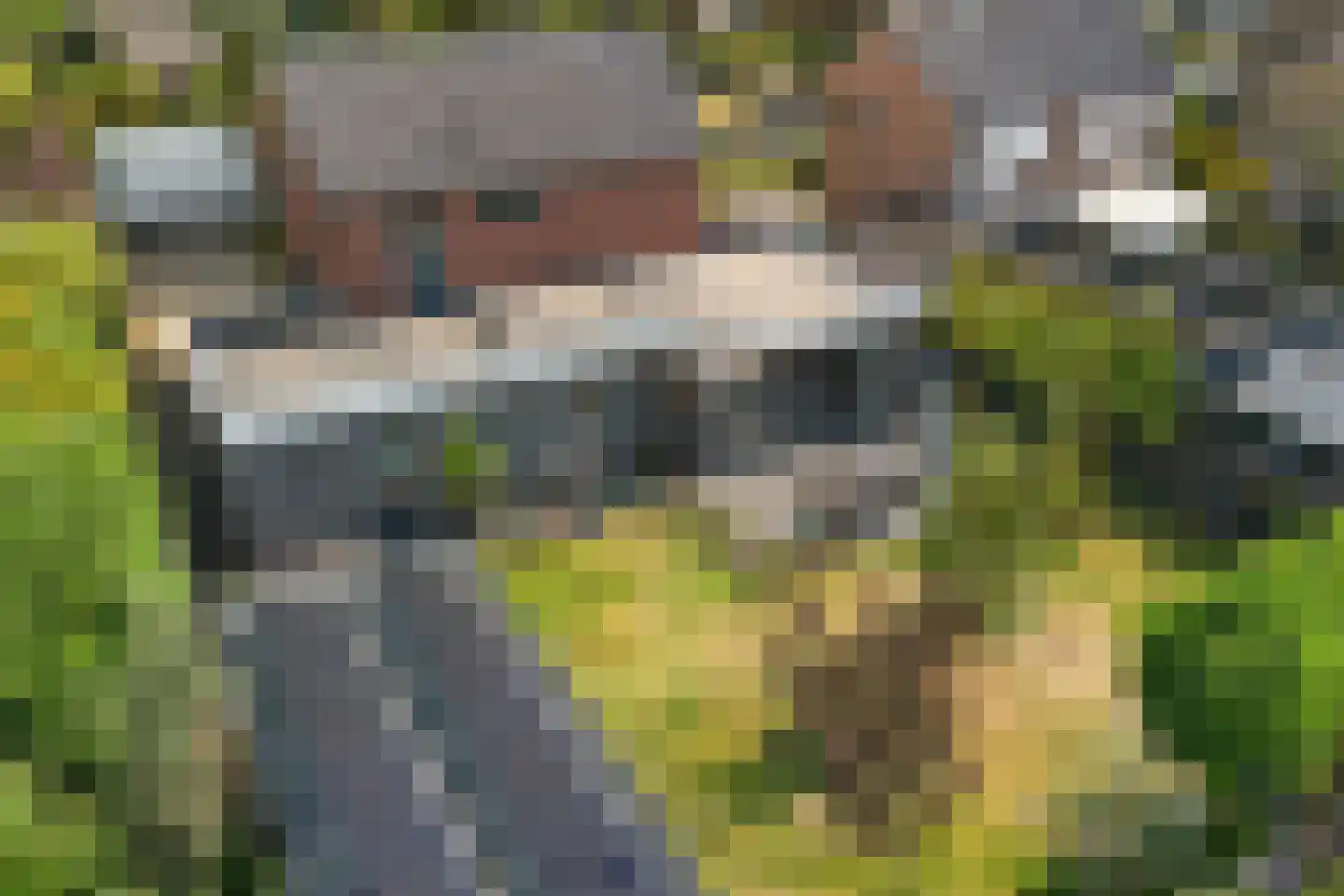 Veldakkersweg 12 Exloo foto 3