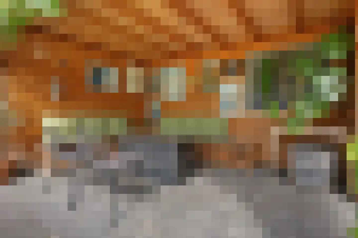 Veldakkersweg 12 Exloo thumbnail 40