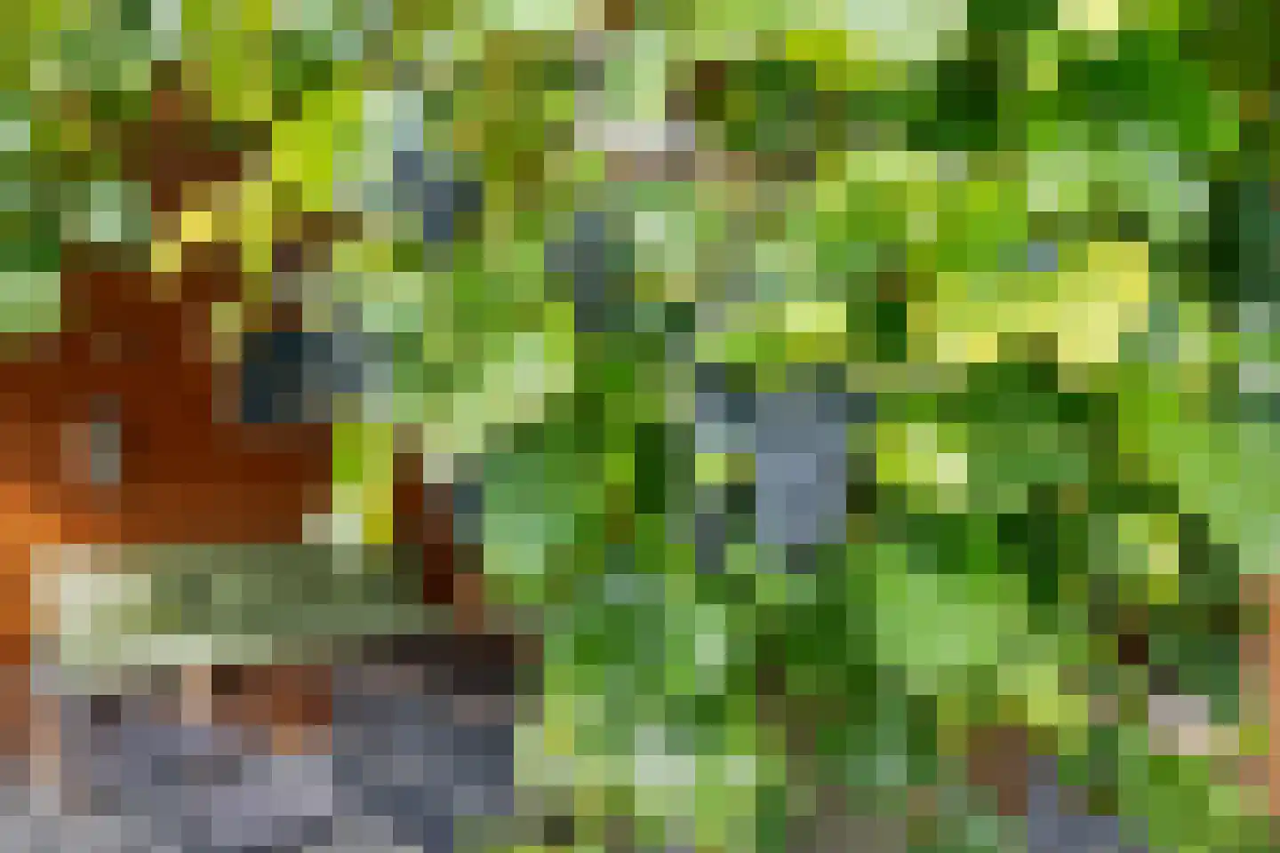 Veldakkersweg 12 Exloo thumbnail 41