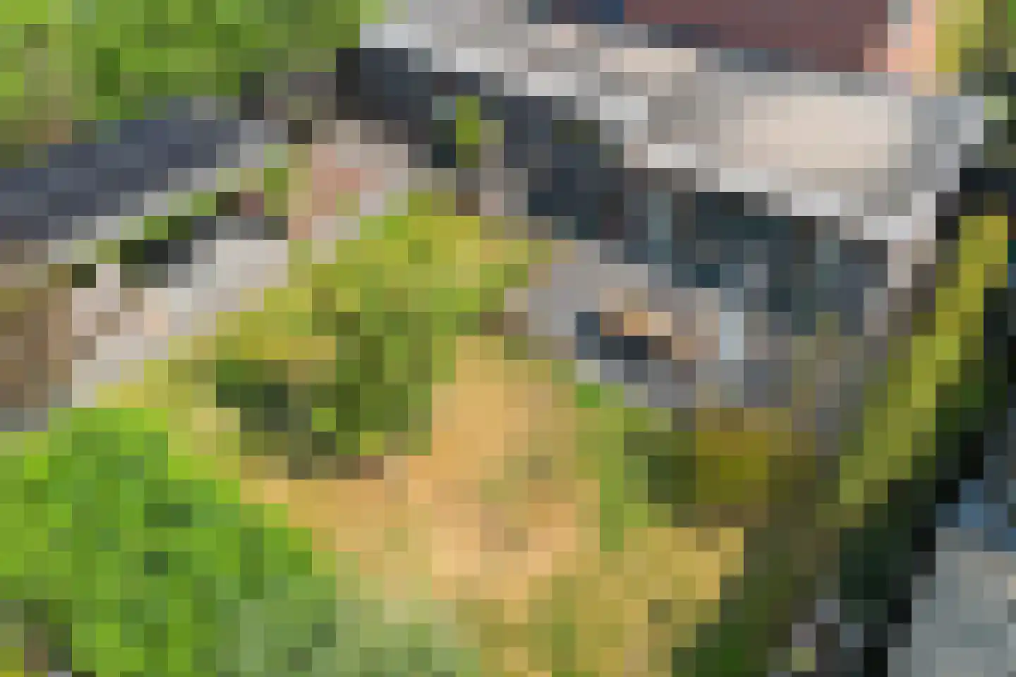 Veldakkersweg 12 Exloo thumbnail 47