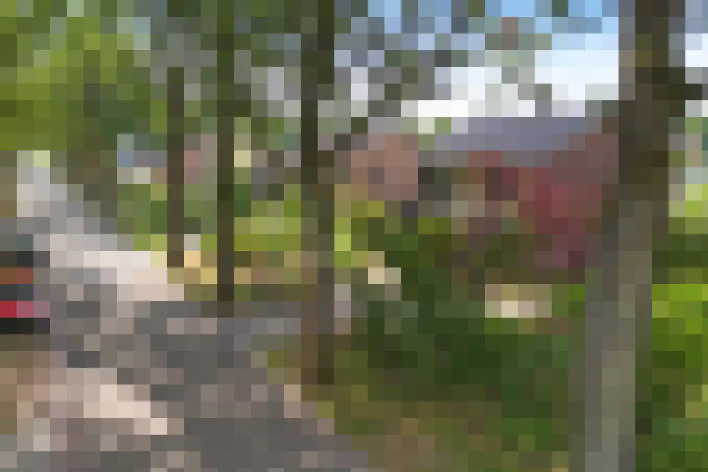 Veldakkersweg 12 Exloo thumbnail 49