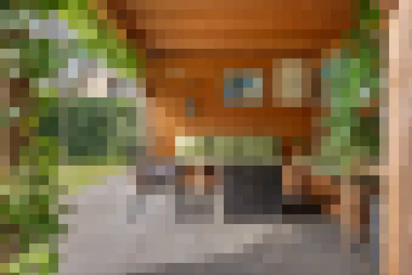 Veldakkersweg 12 Exloo thumbnail 5