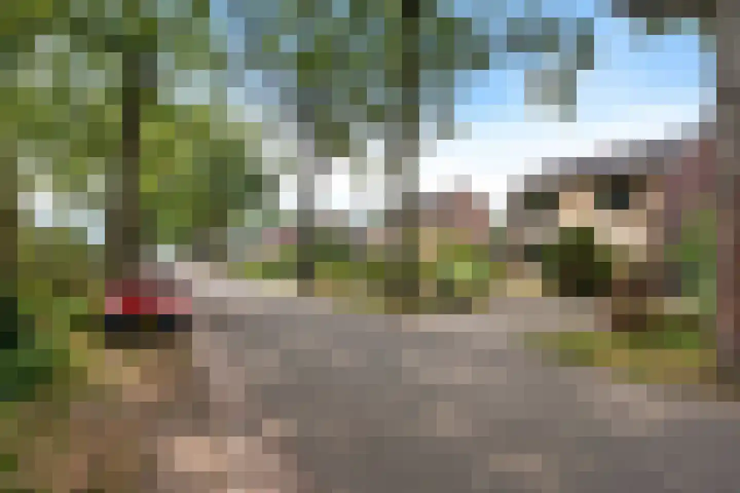 Veldakkersweg 12 Exloo thumbnail 50