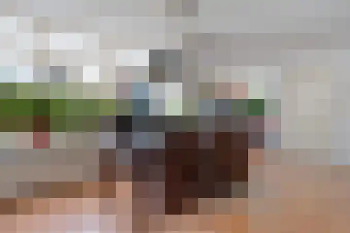 Veldakkersweg 18 Exloo thumbnail 14