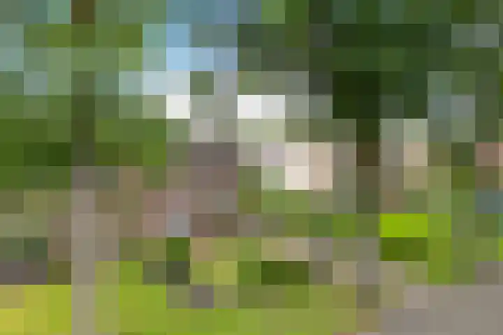 Veldakkersweg 18 Exloo foto 3