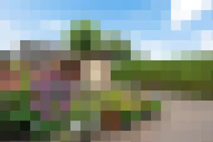 Veldakkersweg 18 Exloo thumbnail 36