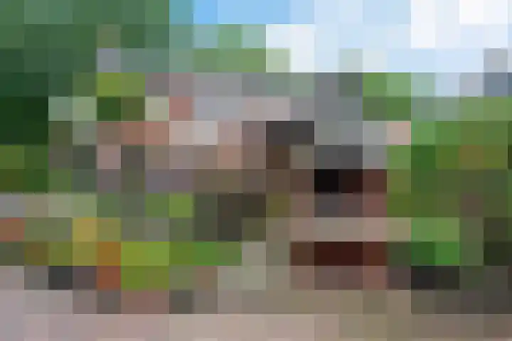 Veldakkersweg 18 Exloo thumbnail 40