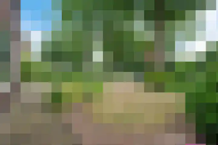 Veldakkersweg 18 Exloo thumbnail 41