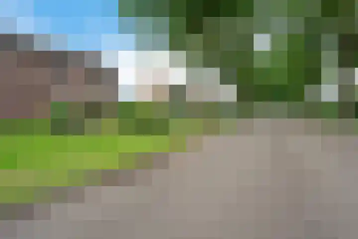 Veldakkersweg 18 Exloo thumbnail 45