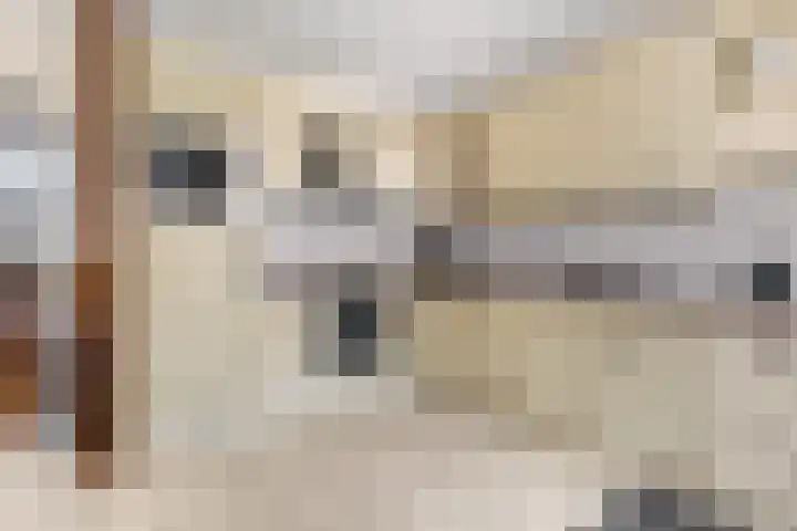 Veldbeeklaan 12 Ede thumbnail 14