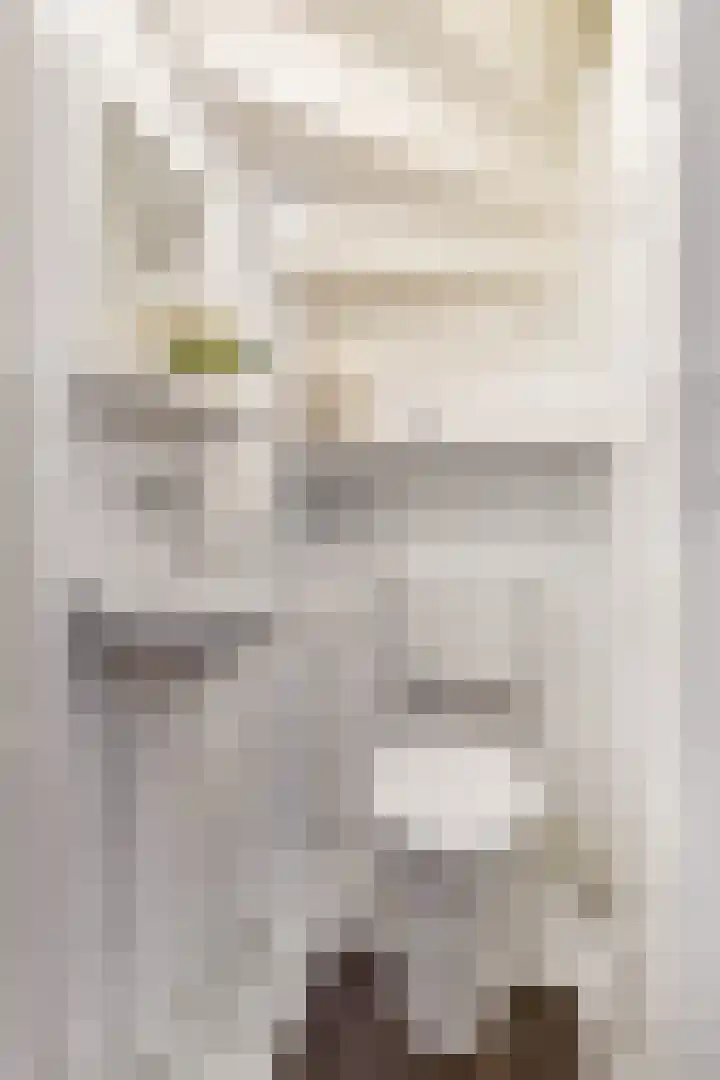 Veldbeeklaan 12 Ede thumbnail 17