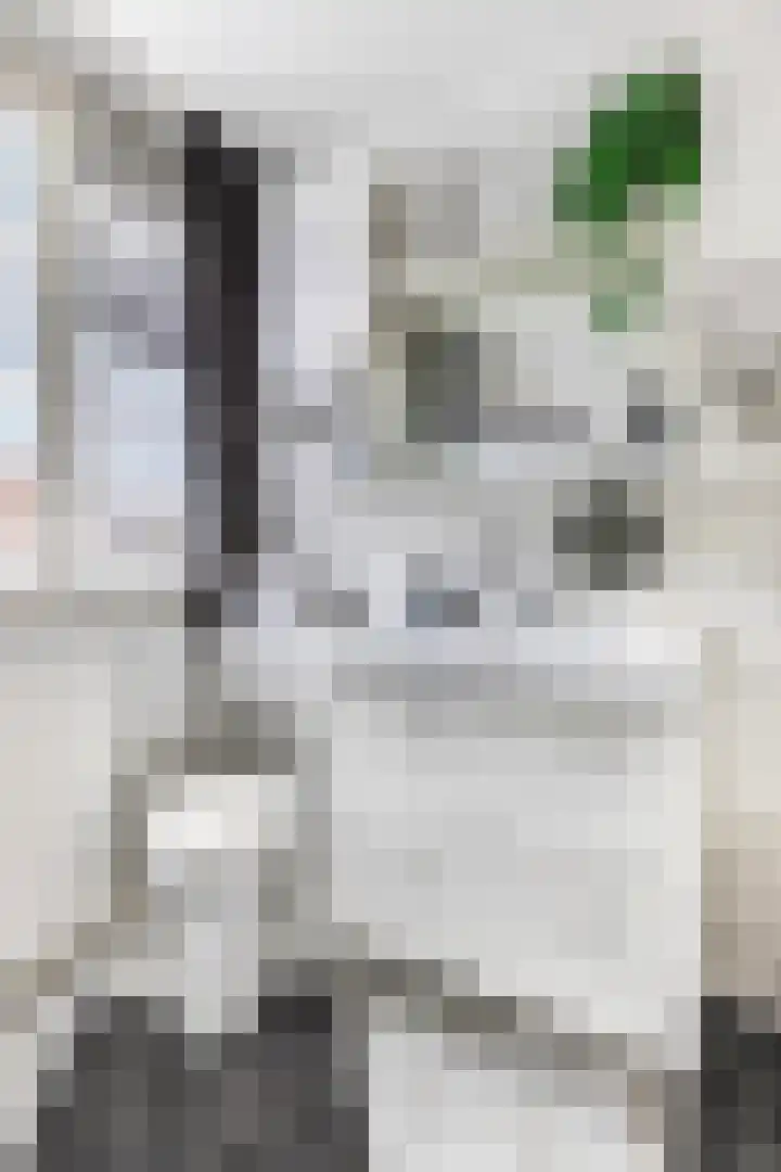 Veldbeeklaan 12 Ede thumbnail 28