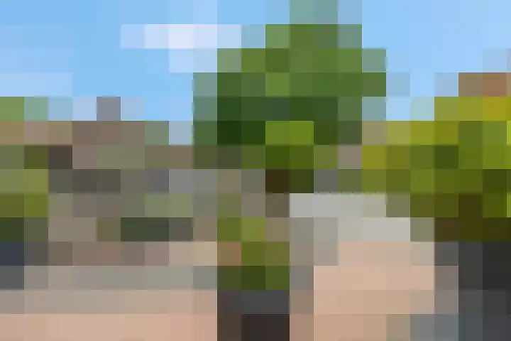 Veldbeeklaan 12 Ede thumbnail 42