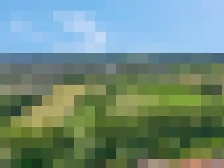 Veldbeeklaan 12 Ede thumbnail 51