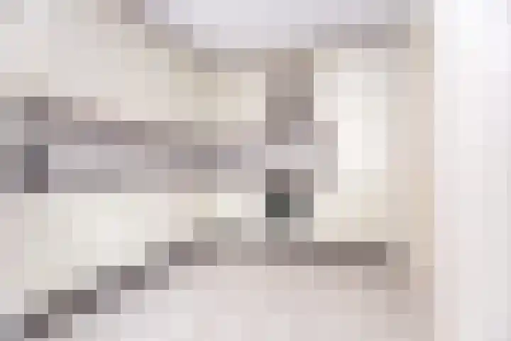 Veldbeemd 1 Wognum thumbnail 10