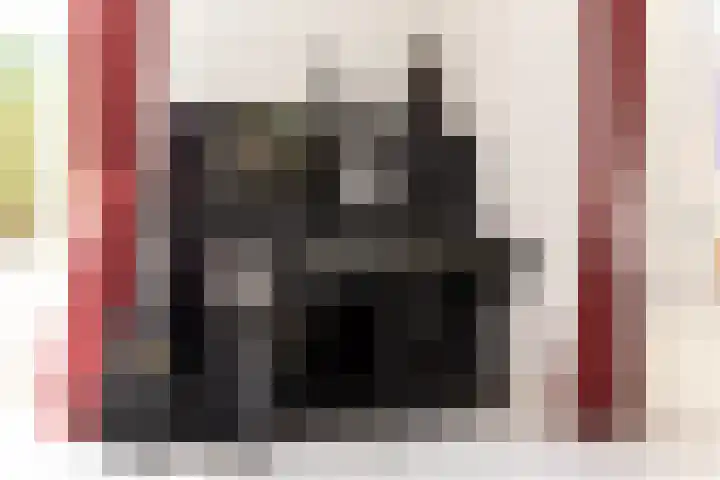 Veldbeemd 1 Wognum thumbnail 12