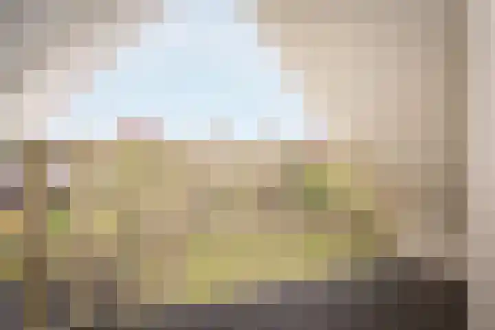 Veldbeemd 1 Wognum thumbnail 16