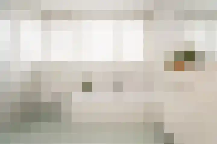 Veldbeemd 1 Wognum thumbnail 19