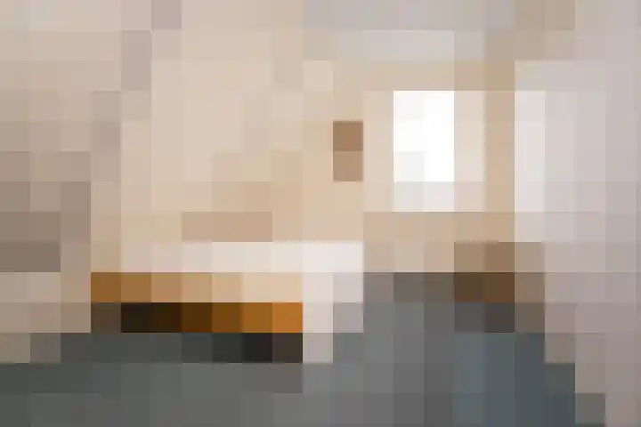 Veldbeemd 1 Wognum thumbnail 22
