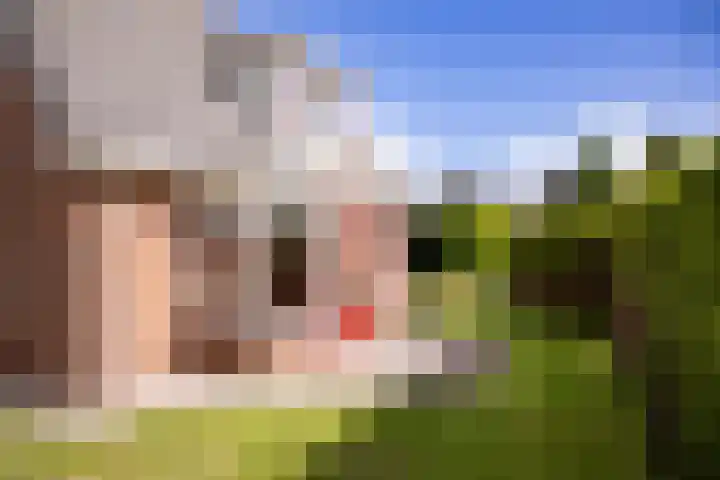 Veldbeemd 1 Wognum thumbnail 27
