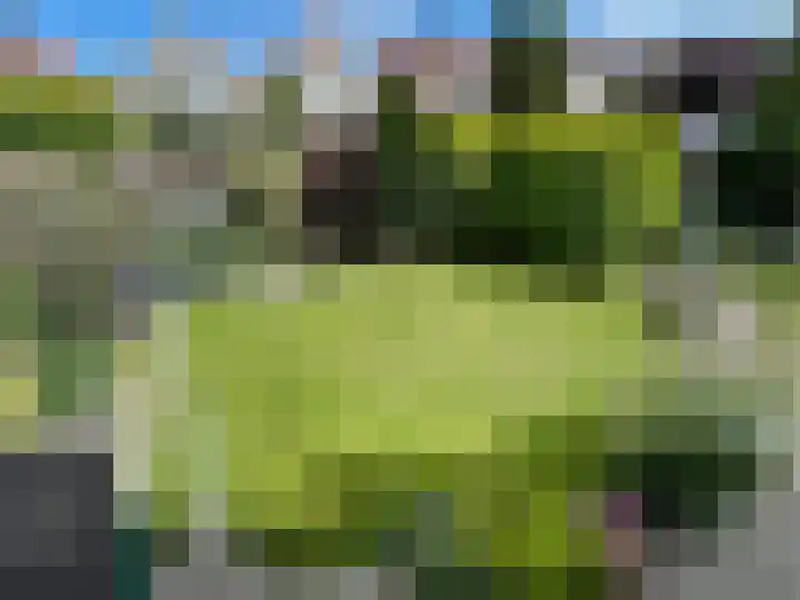 Veldbeemd 1 Wognum thumbnail 30