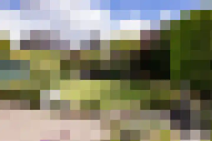 Veldbeemd 1 Wognum thumbnail 31