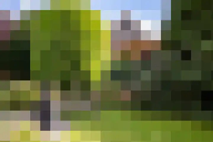 Veldbeemd 1 Wognum thumbnail 32