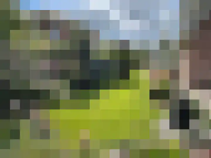 Veldbeemd 1 Wognum thumbnail 33