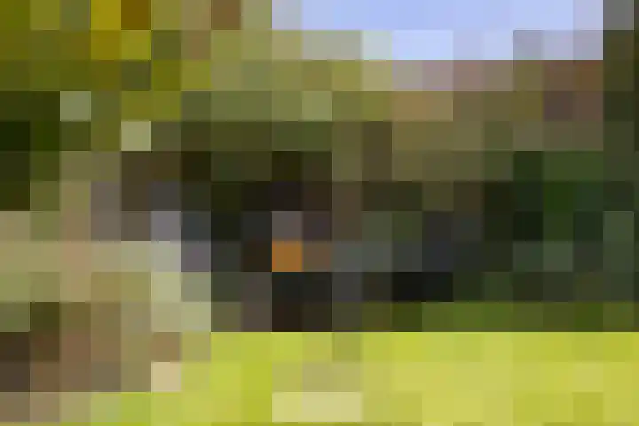 Veldbeemd 1 Wognum thumbnail 35