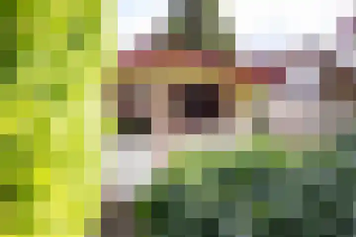 Veldbeemd 1 Wognum thumbnail 36
