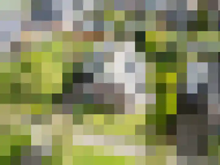 Veldbeemd 1 Wognum thumbnail 38