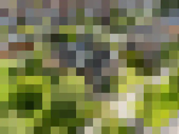 Veldbeemd 1 Wognum thumbnail 39