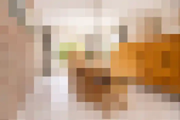 Veldbeemd 1 Wognum thumbnail 9